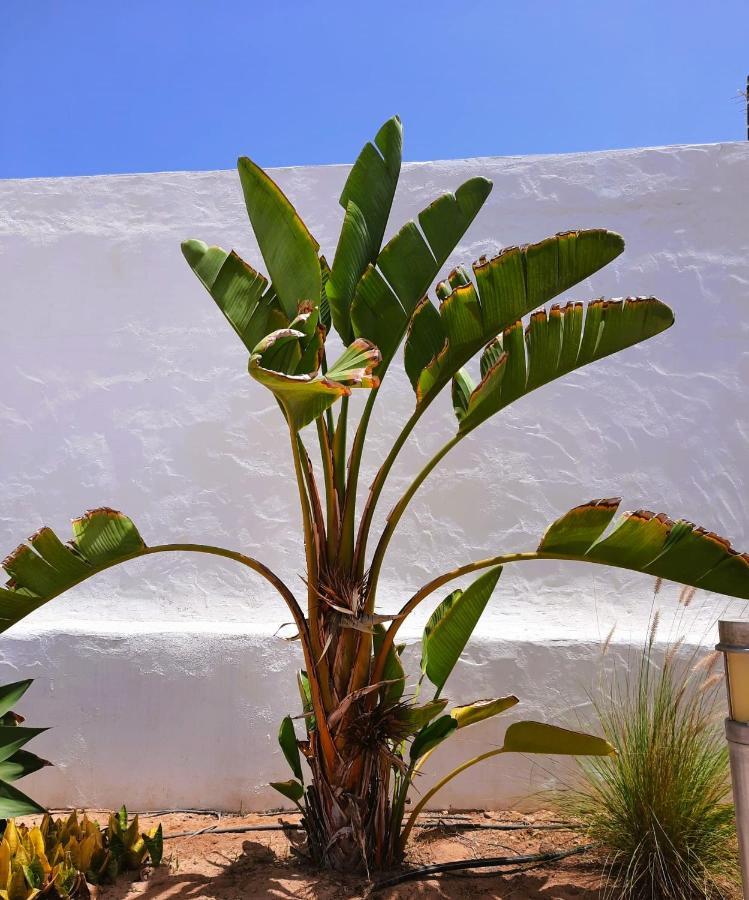 Casa Vivi Fuerteventura Apartment Corralejo Exterior foto