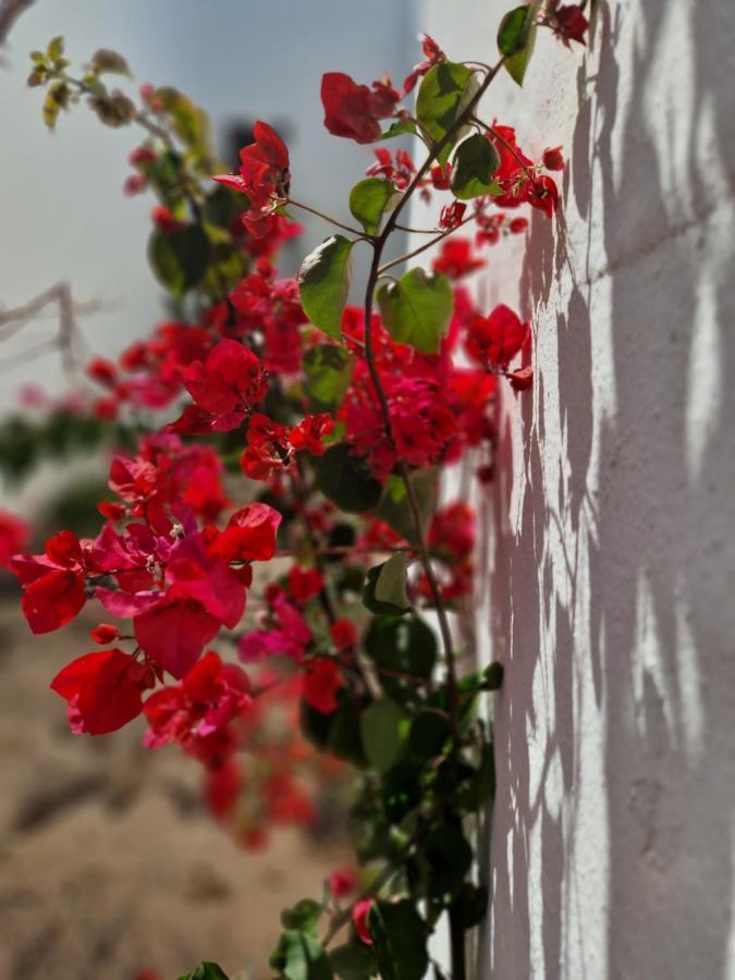 Casa Vivi Fuerteventura Apartment Corralejo Exterior foto